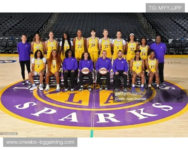 赞助商看好WNBA在13至24岁球迷群体中的影响力